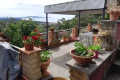 d020b4d9-9c77-459f-9b5f-8aaeeb16deaa-1920w